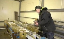 Денис Гусев в рамках работы в регионе осмотрел производственные и социальные объекты сельскохозяйственного производственного кооператива «Рыболовецкий колхоз «Сула»