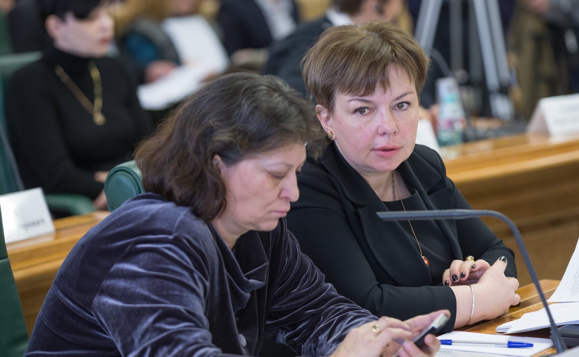На заседании Совета по делам инвалидов при СФ