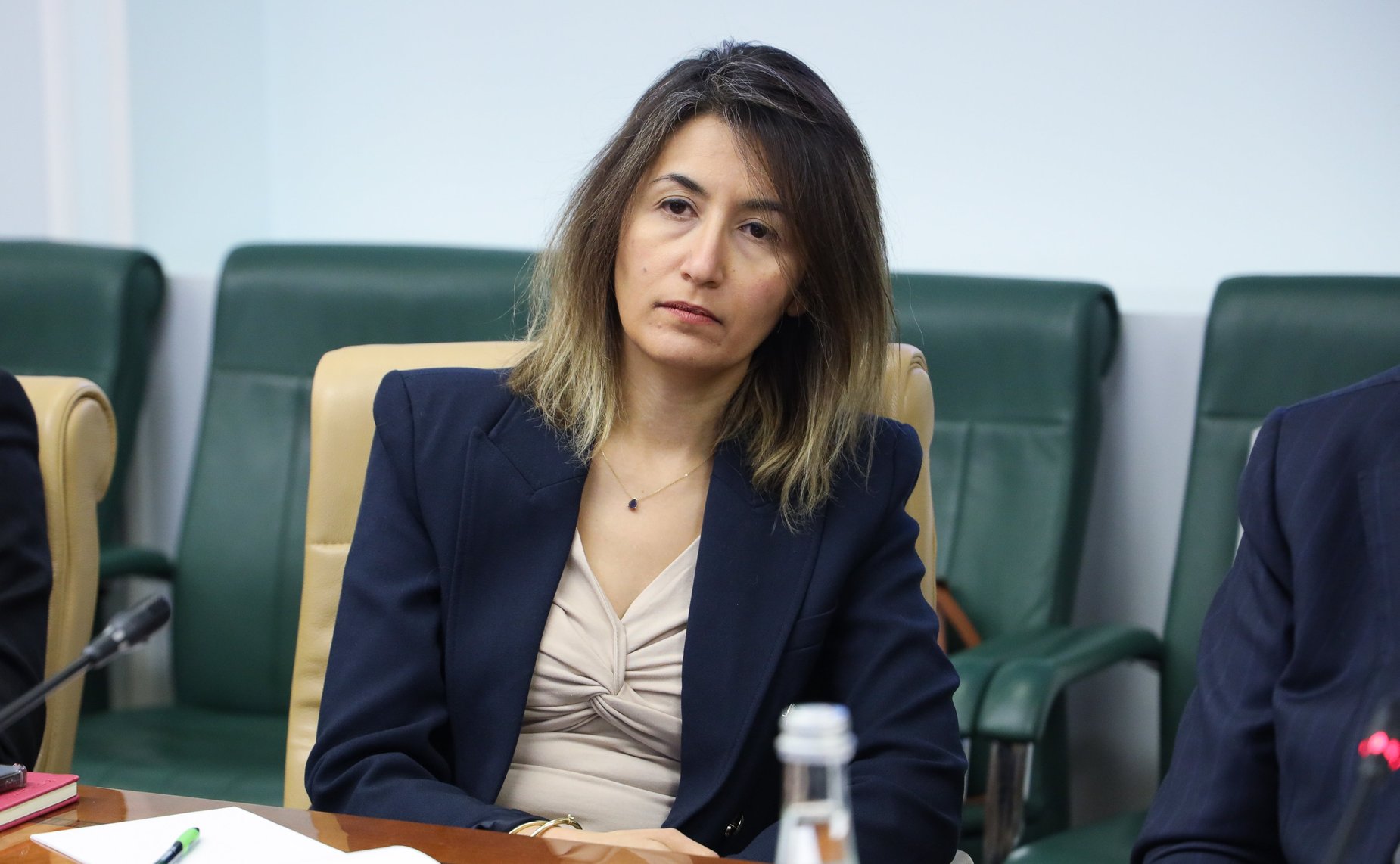 Встреча председателя Комитета Совета Федерации по международным делам Григория Карасина с Чрезвычайным и Полномочным Послом Арабской Республики Египет в Российской Федерации