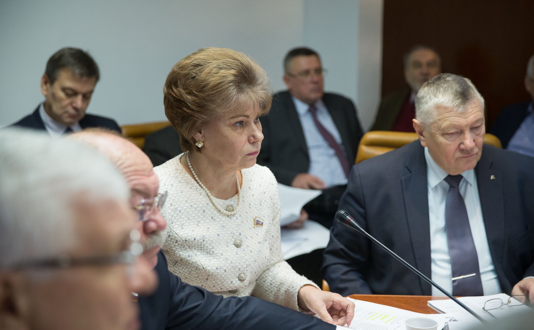 Заседание Экспертно-консультативного совета по лесному комплексу по обсуждению Концепции Лесного кодекса РФ, разработанной Российской академией наук