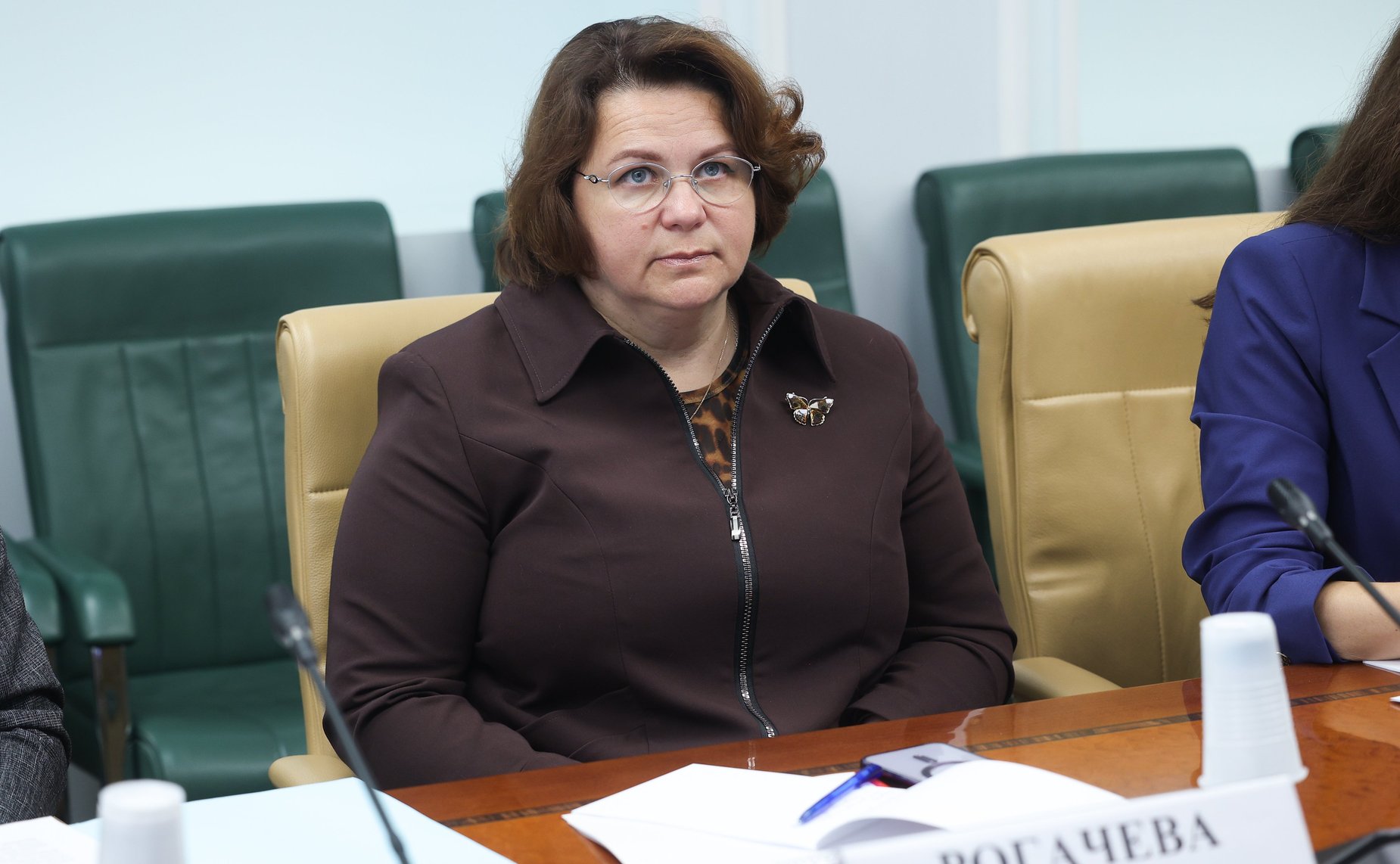Круглый стол Комитета СФ по конституционному законодательству и государственному строительству «Законодательное обеспечение государственной миграционной политики Российской Федерации в 2025 году: состояние и перспективы»