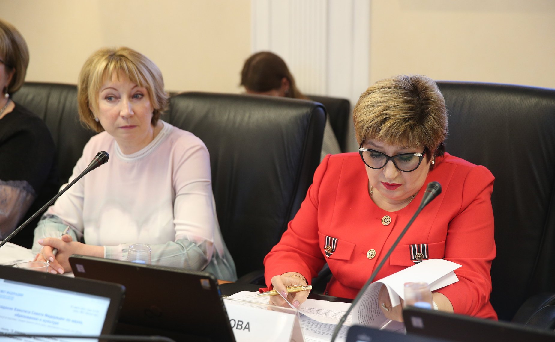 Заседание Комитета СФ по науке, образованию и культуре