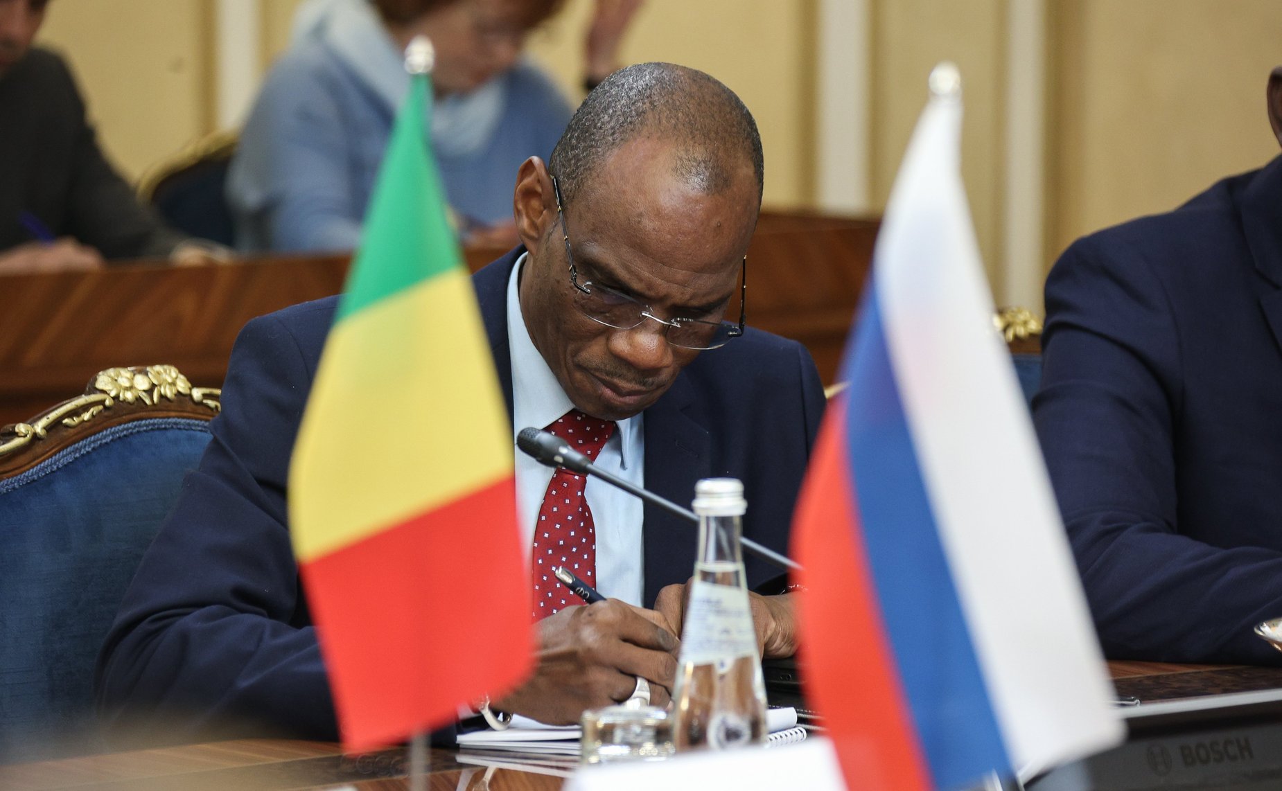 Встреча Председателя Совета Федерации Валентины Матвиенко с Председателем Национального переходного совета Республики Мали