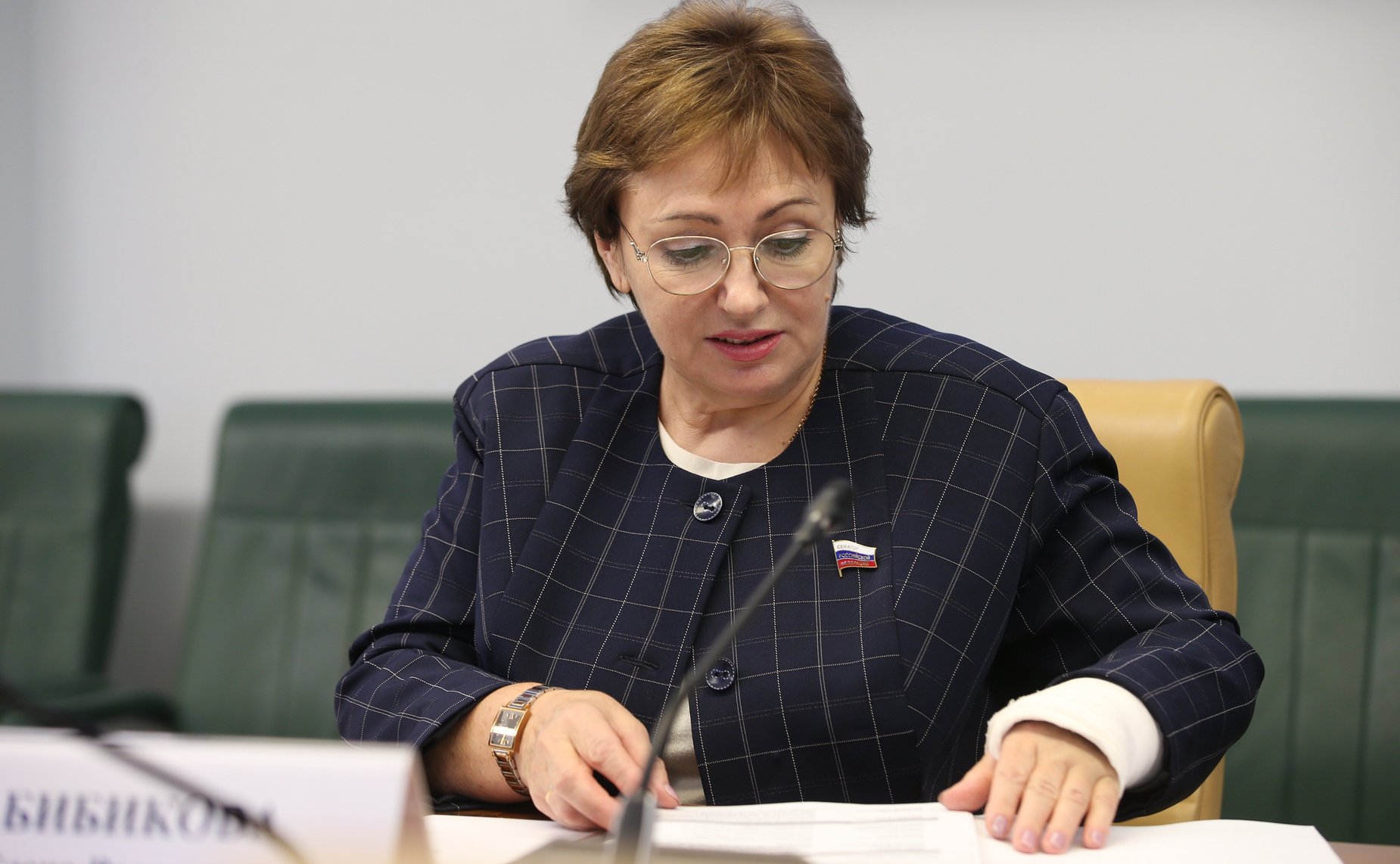 Елена Бибикова