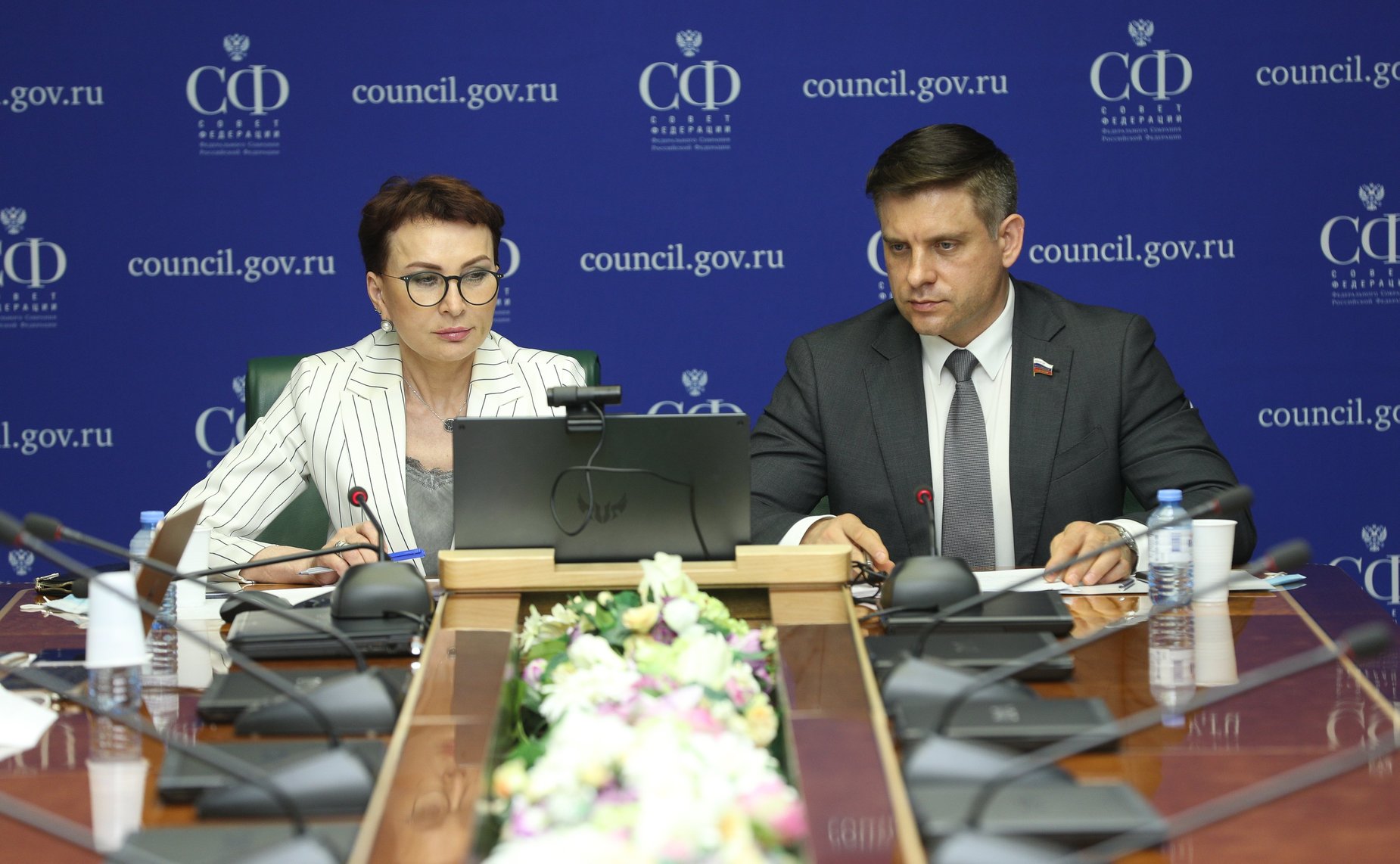 Заседание Экспертного совета по здравоохранению при Комитете СФ по социальной политике