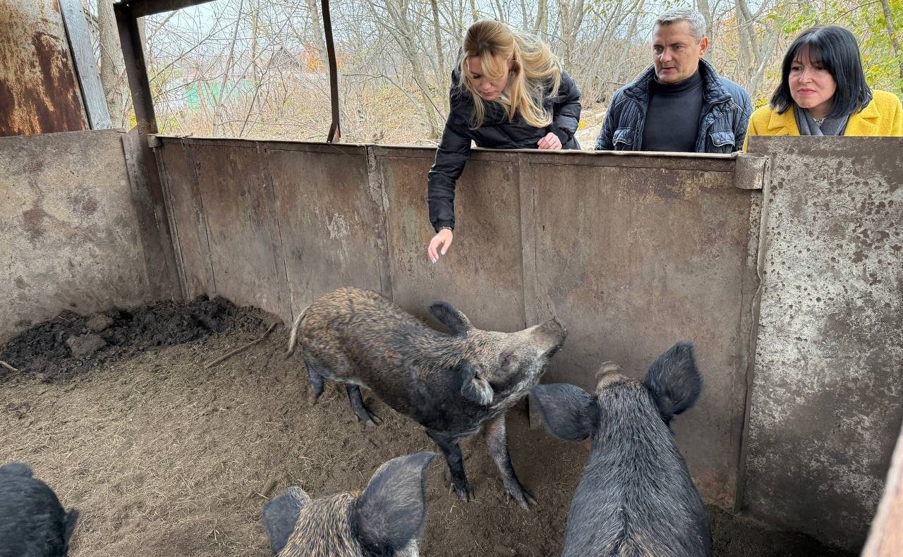 Дарья Лантратова в рамках региональной поездки посетила хозяйство Владимира Прудникова в Белокуракинском районе