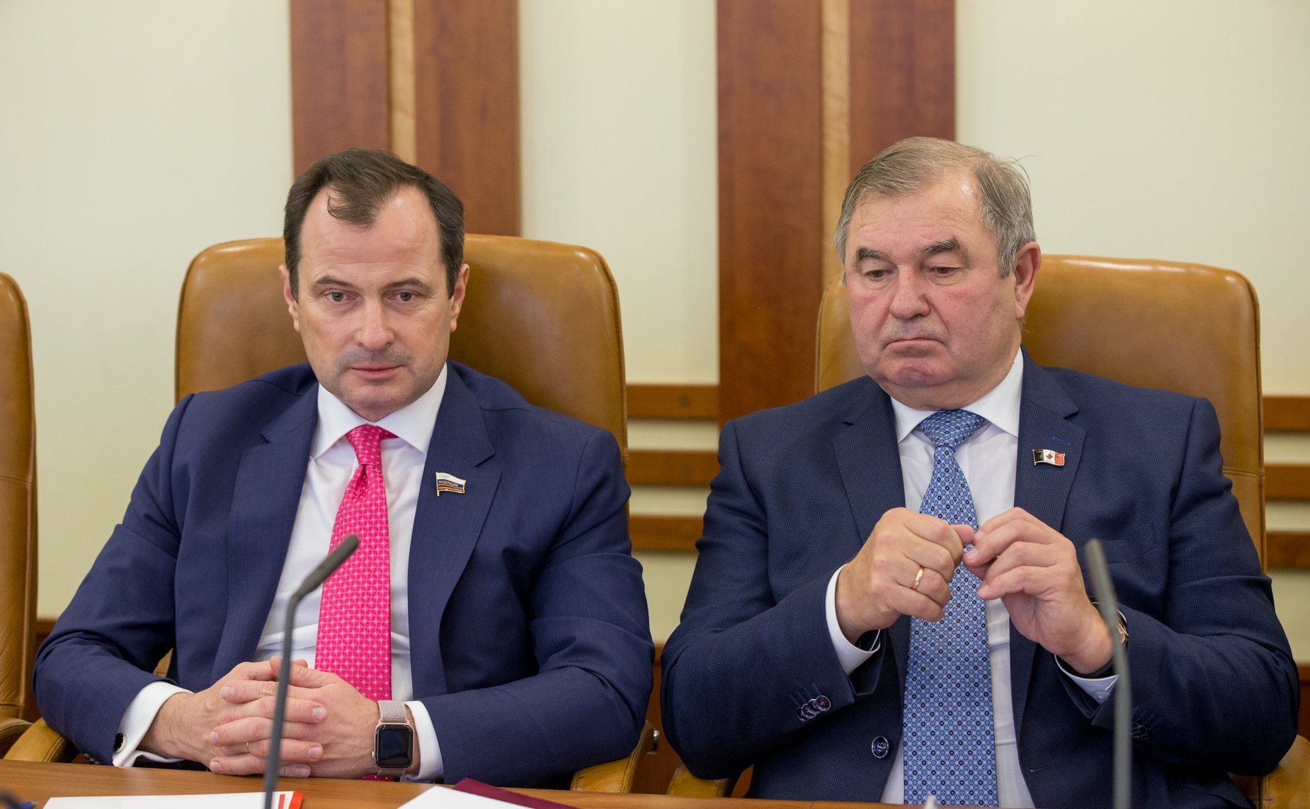 Расширенное заседание Комитета СФ по федеративному устройству, региональной политике, местному самоуправлению и делам Севера