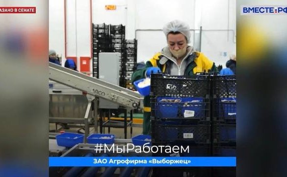 Сергей Перминов ответил 18 апреля в эфире парламентского телеканала «Вместе-РФ» на вопросы, связанные с импортозамещением в условиях санкций и решениями в экономике в этот период