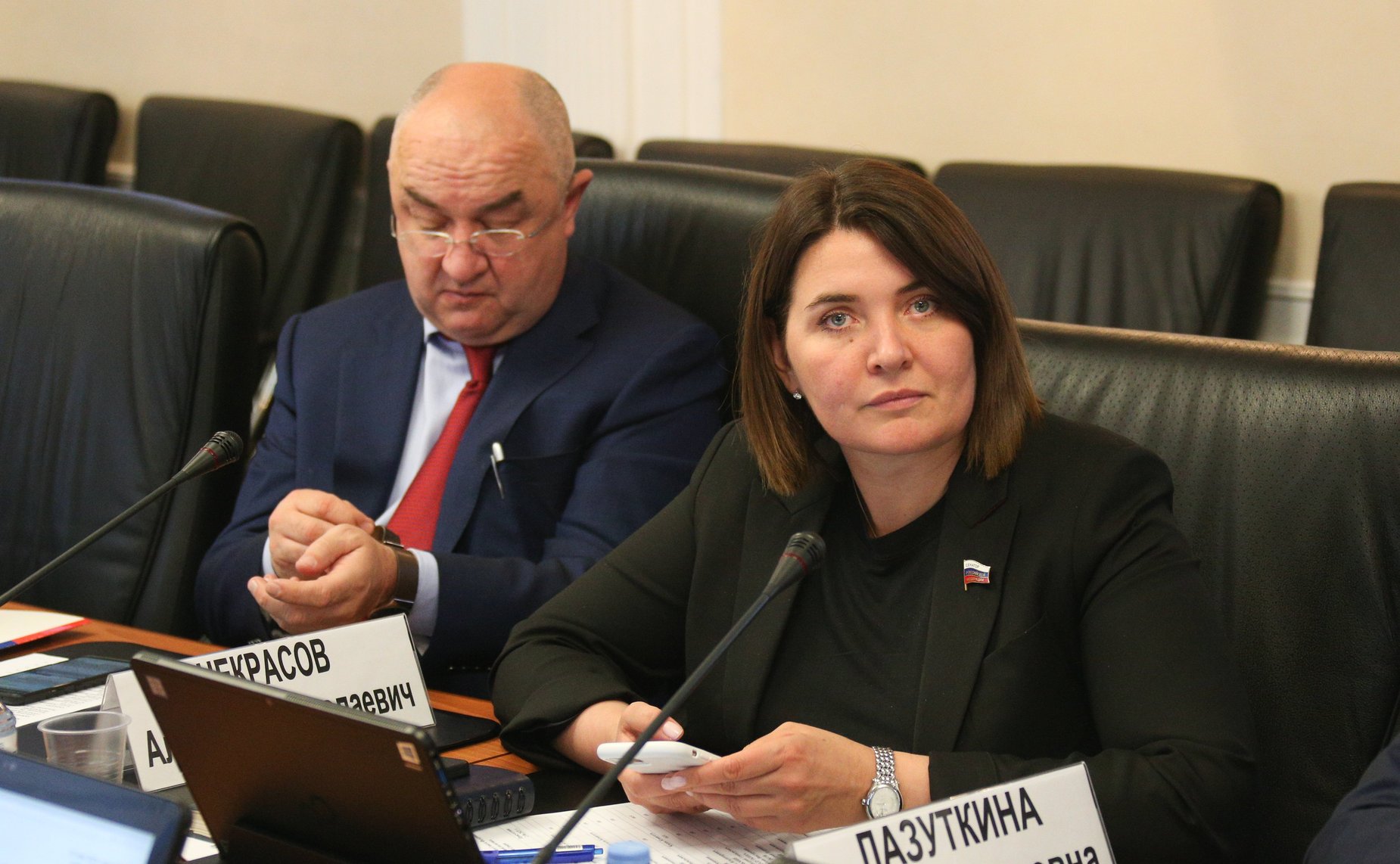 Расширенное заседание Комитета по федеративному устройству, региональной политике, МСУ и делам Севера