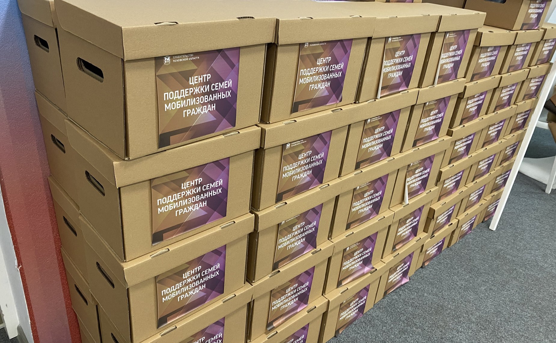 Елена Бибикова встретилась с советником губернатора Псковской области, курирующим деятельность Центра помощи семьям мобилизованных и военнослужащих, Еленой Полонской