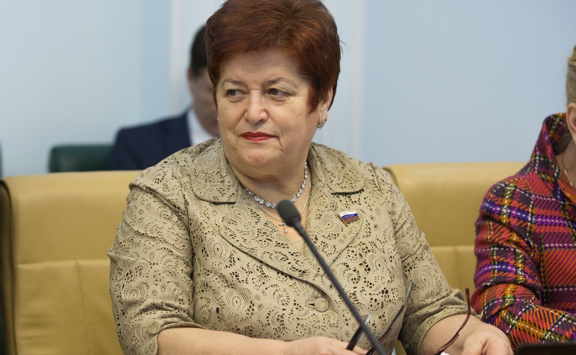 Л. Козлова на расширенном заседании Комитета Совета Федерации по социальной политике с участием представителей государственной власти Челябинской области