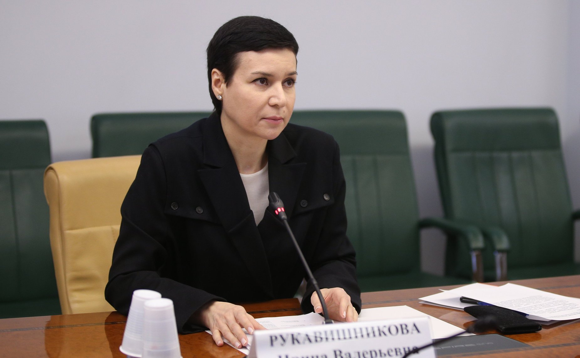 И. Рукавишникова: Создание суперсервиса нацелено на оптимизацию ...