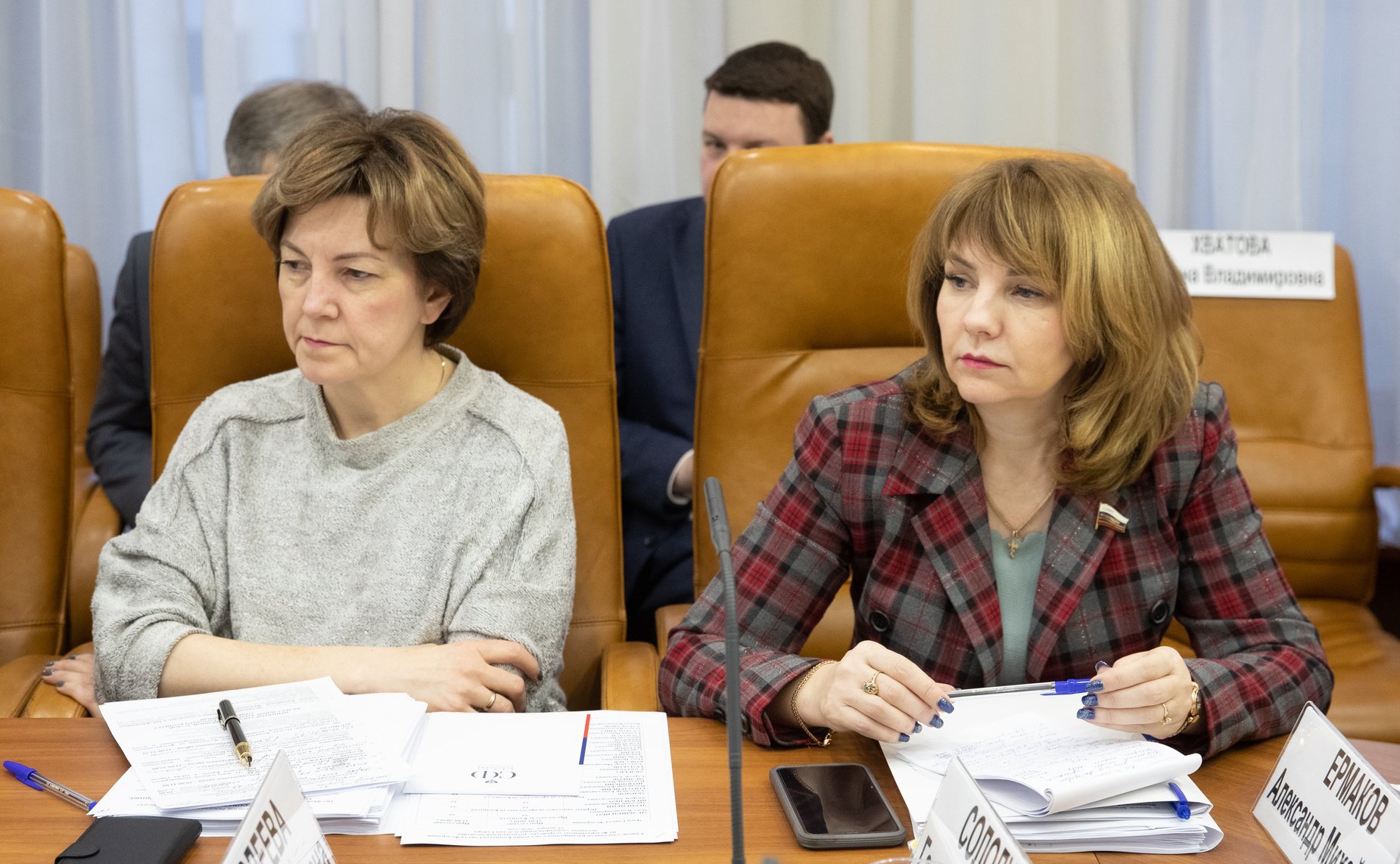 Заседание Комитета СФ по федеративному устройству, региональной политике, местному самоуправлению и делам Севера