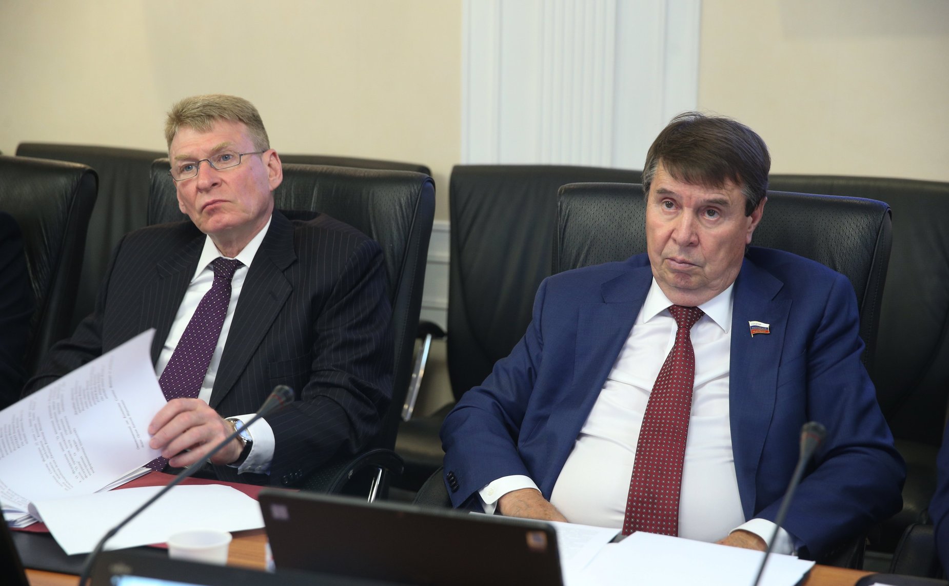 Заседание Комитета СФ по международным делам