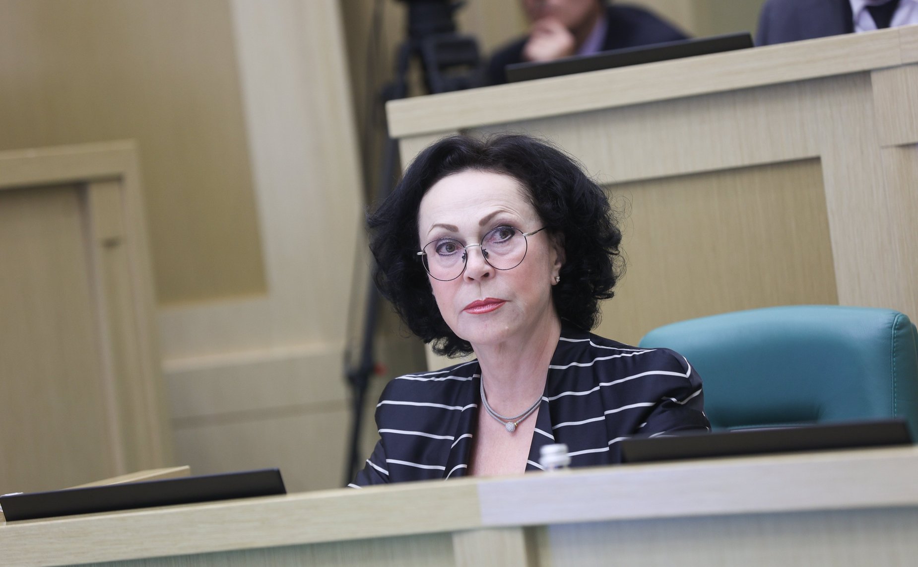 594-е заседание Совета Федерации