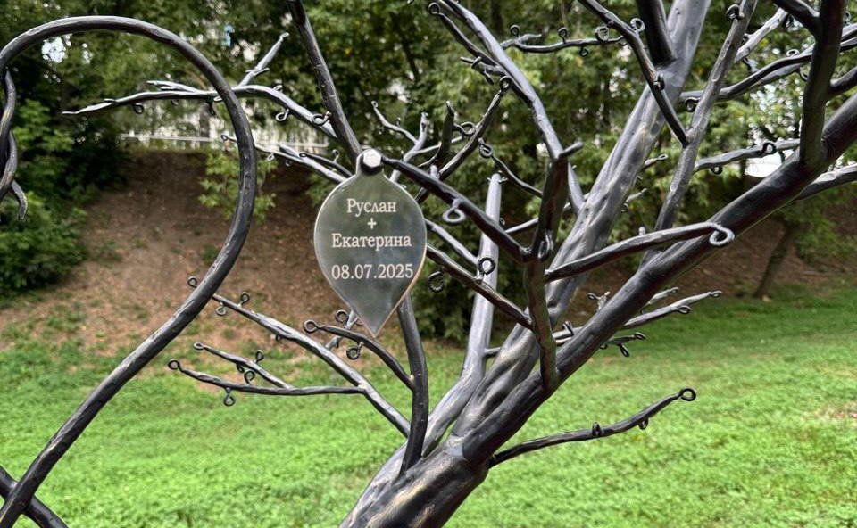 В парке появилось «дерево любви», крону которого украшают листочки с именами молодых пар, решивших образовать семьи