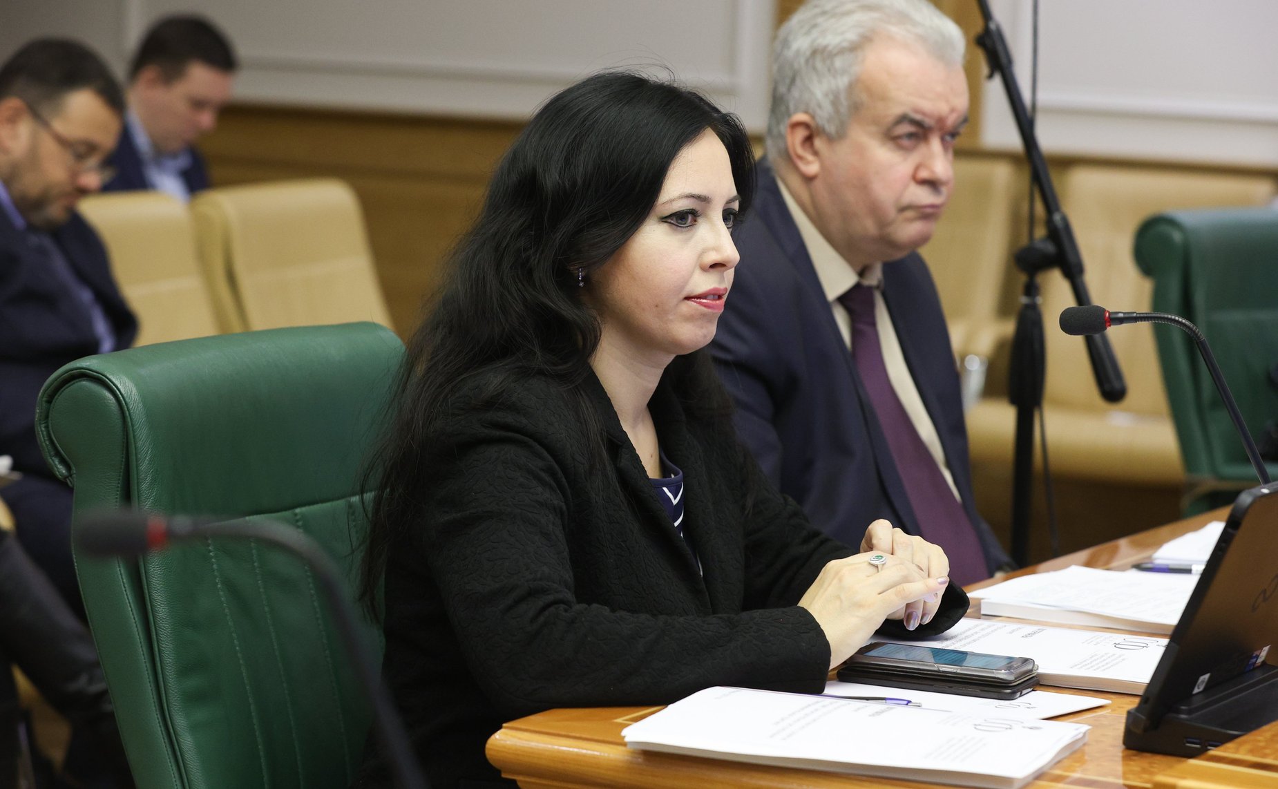 Заседание Совета по вопросам жилищного строительства и содействия развитию жилищно-коммунального комплекса при СФ