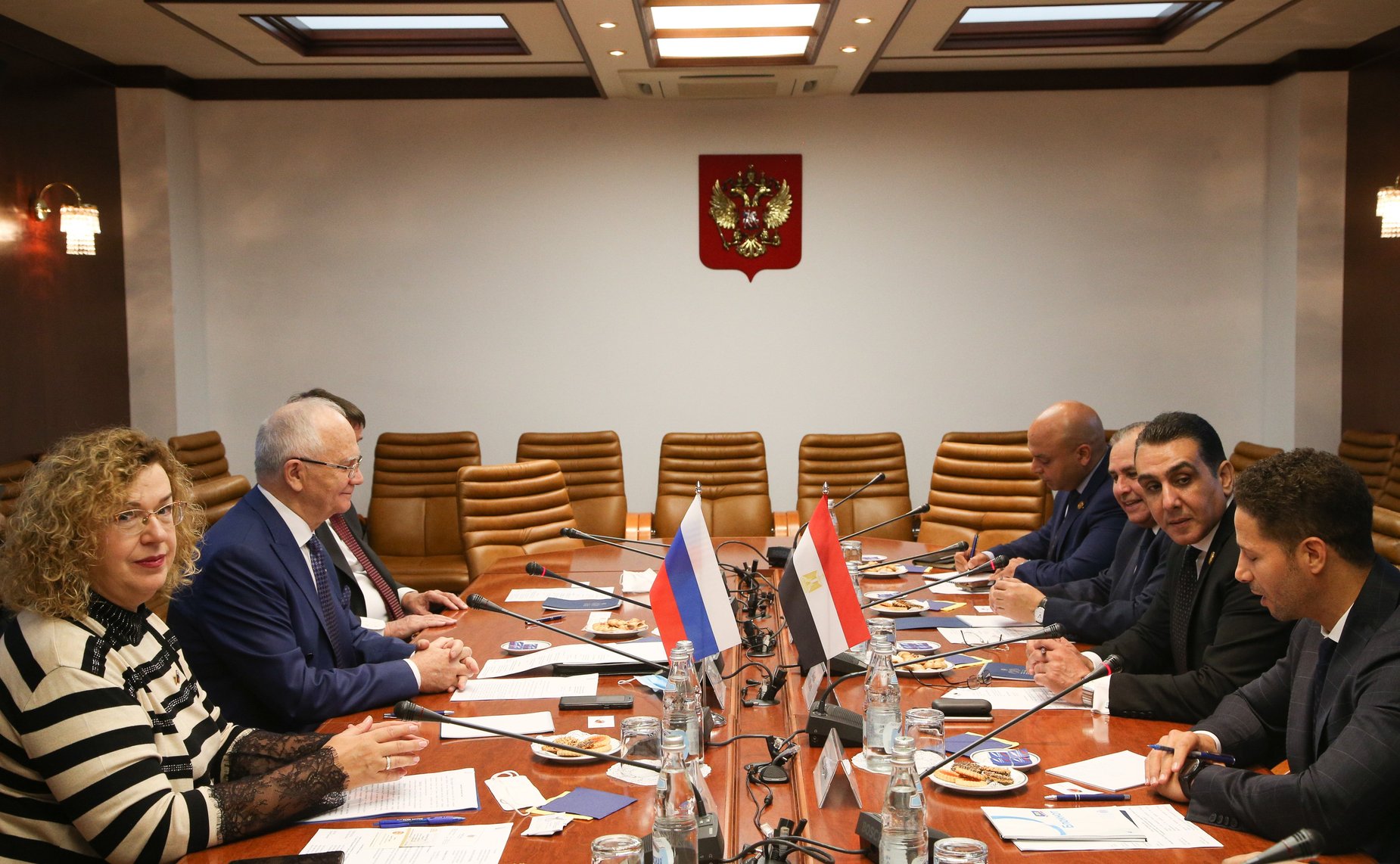 Встреча Фарита Мухаметшина с заместителем председателя Комитета Сената Арабской Республики Египет по делам молодежи Шерифом Ходари