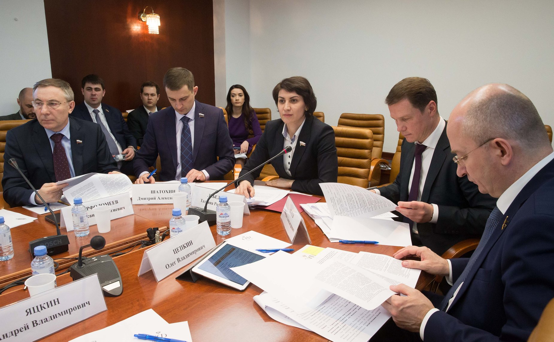 Совместное заседание совета Палаты молодых законодателей и подгруппы по зак.обеспечению молодежной политики Госсовета РФ