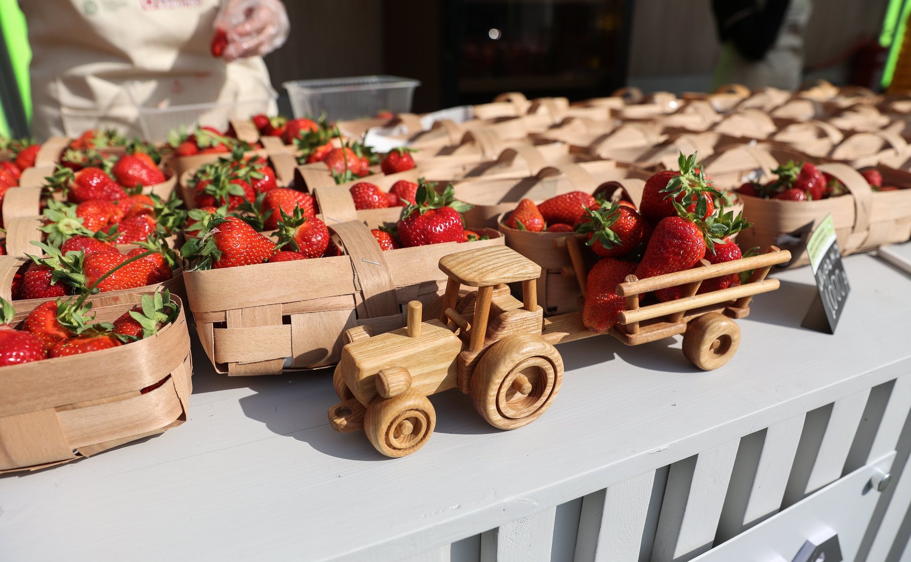 Открытие ярмарки Российской экологической продукции в рамках X Невского международного экологического конгресса