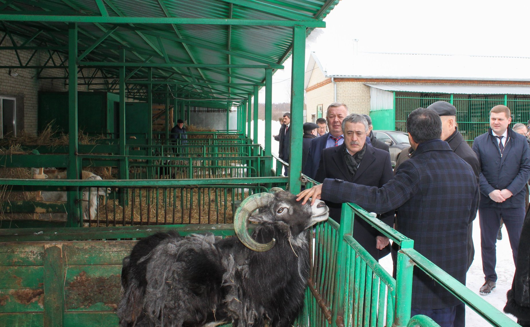 Выездные парламентские слушания на тему «Актуальные вопросы развития мясного и молочного скотоводства в Российской Федерации»