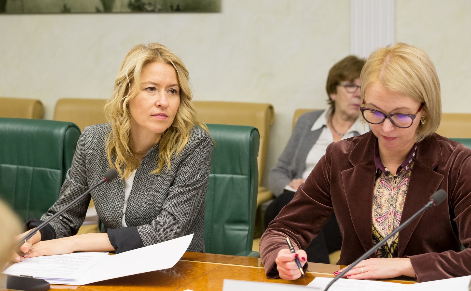 Встреча заместителя Председателя СФ Галины Кареловой с директором и постоянным представителем Всемирного банка в РФ Андрашем Хорваи