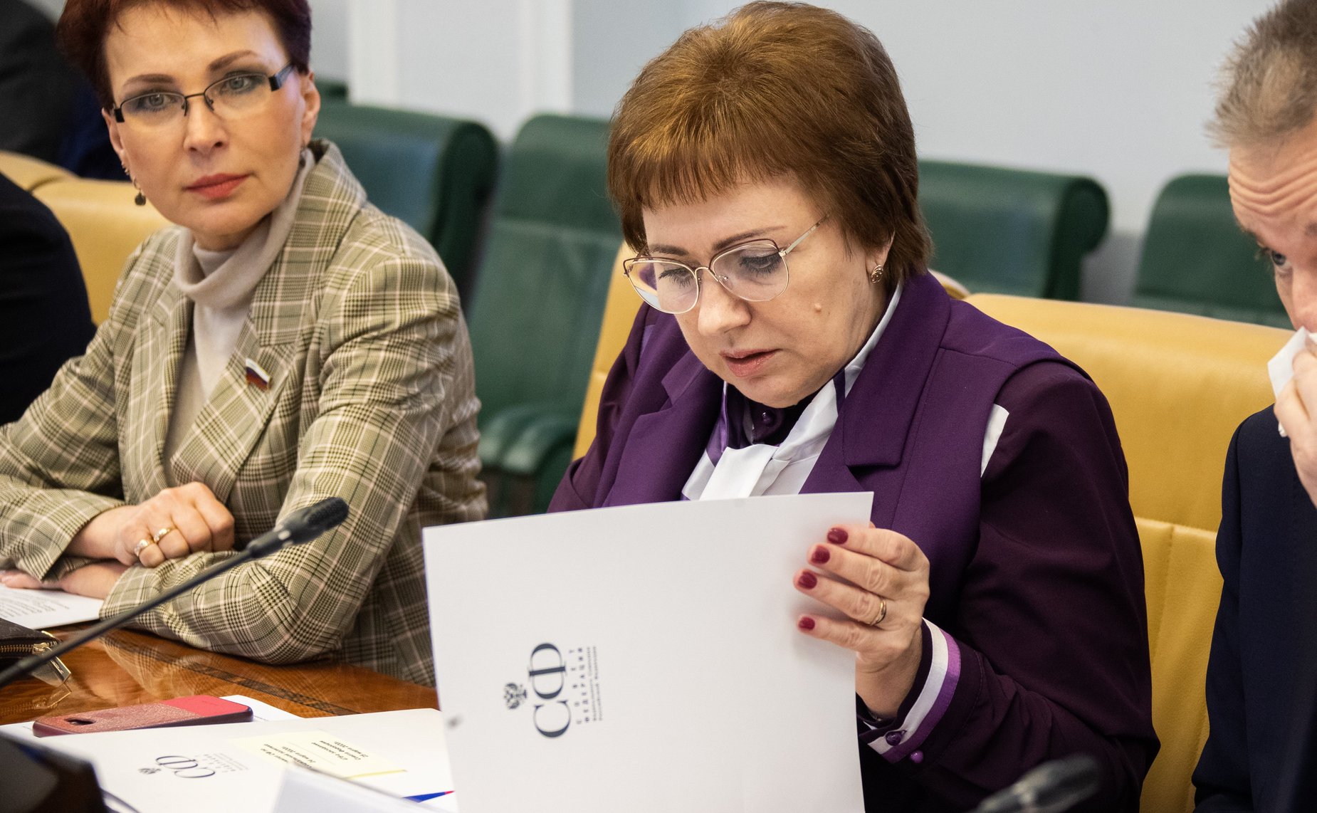 Елена Бибикова