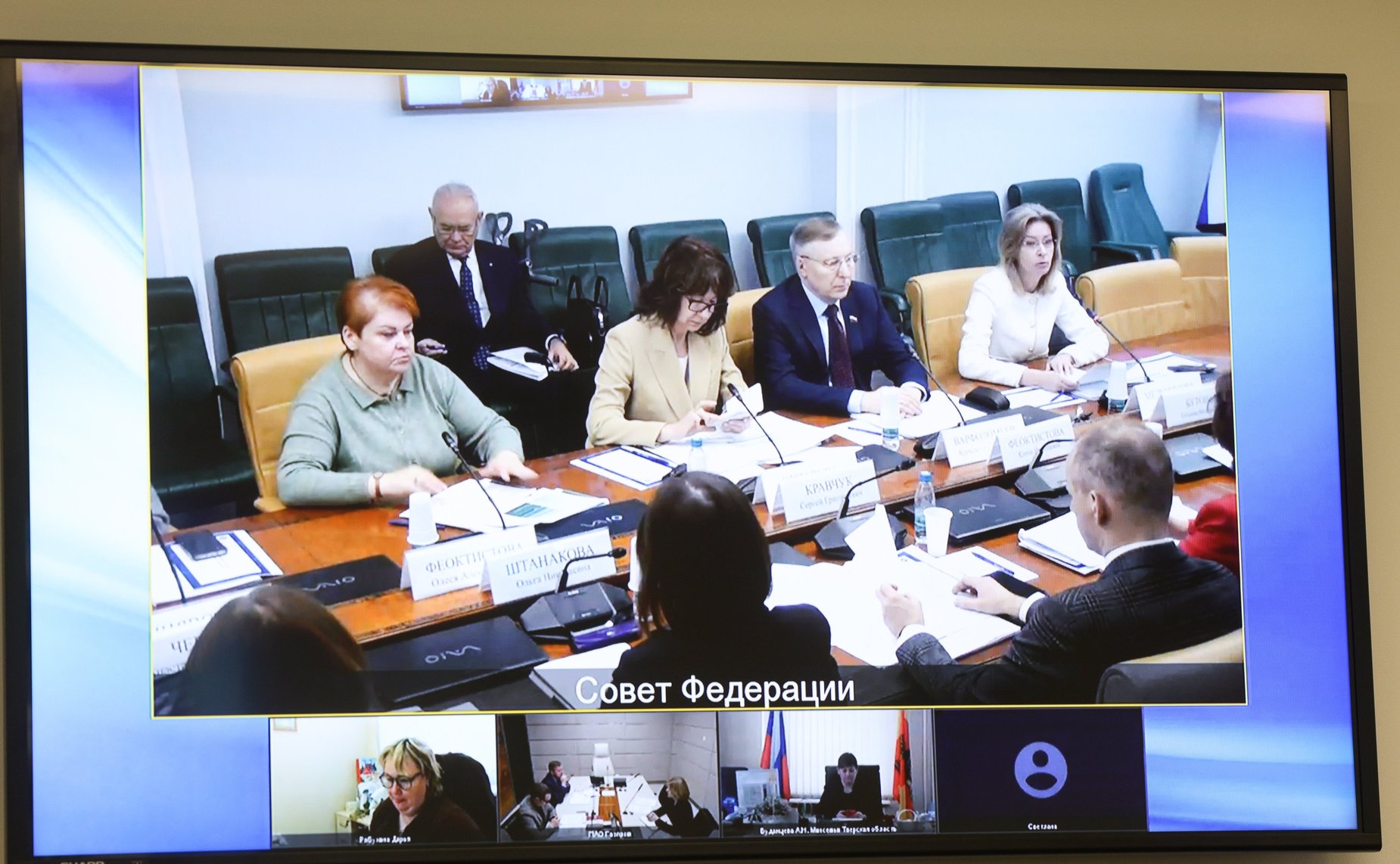 Заседание Экспертного совета по социальному развитию при Комитете Совета Федерации по социальной политике