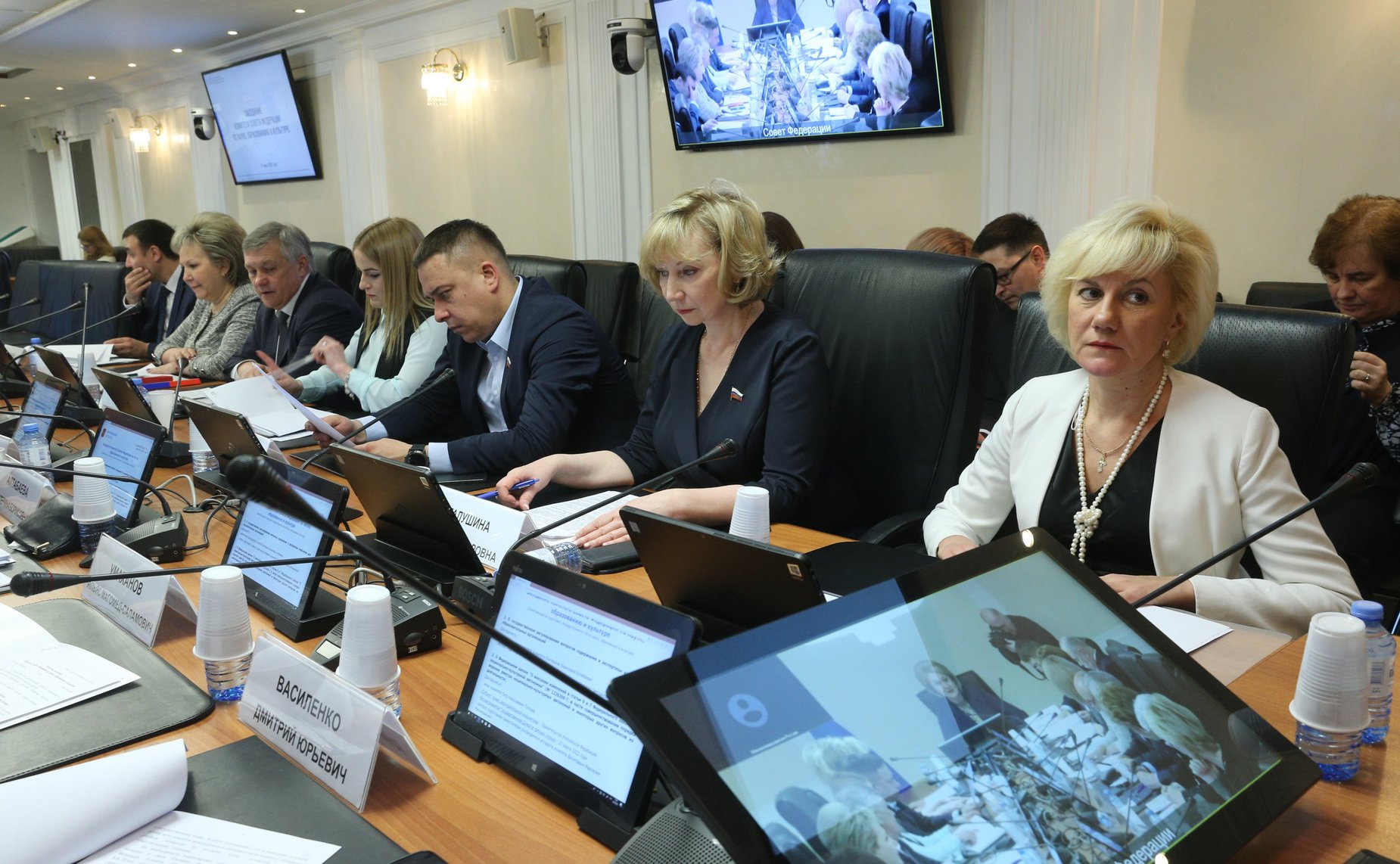 Заседание Комитета СФ по науке, образованию и культуре