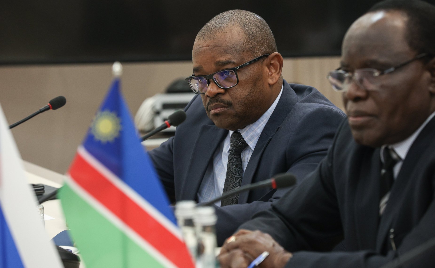 Встреча первого заместителя председателя Комитета СФ по бюджету и финансовым рынкам Николая Любимова с делегацией Национального совета Республики Намибии