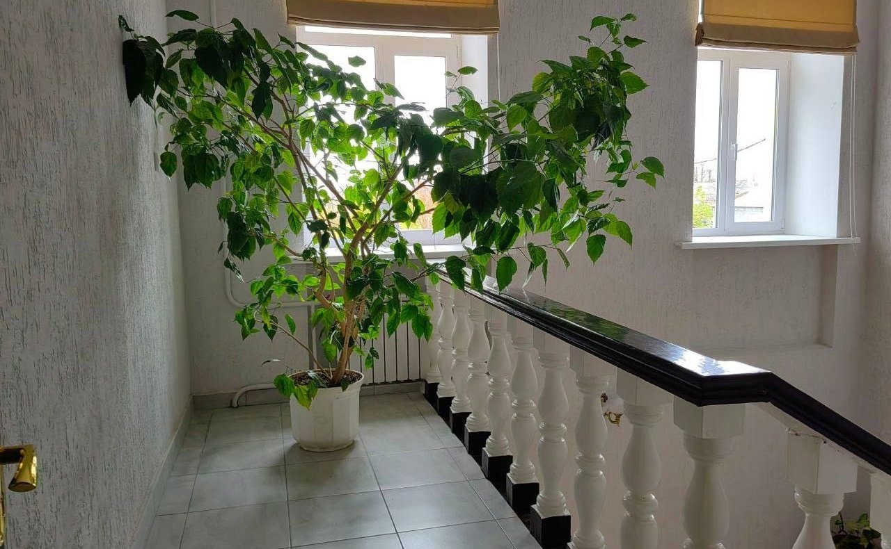 Артем Малащенков в поселке Хиславичи осмотрел Хиславичский районный центр культурно-досуговой работы и народного творчества