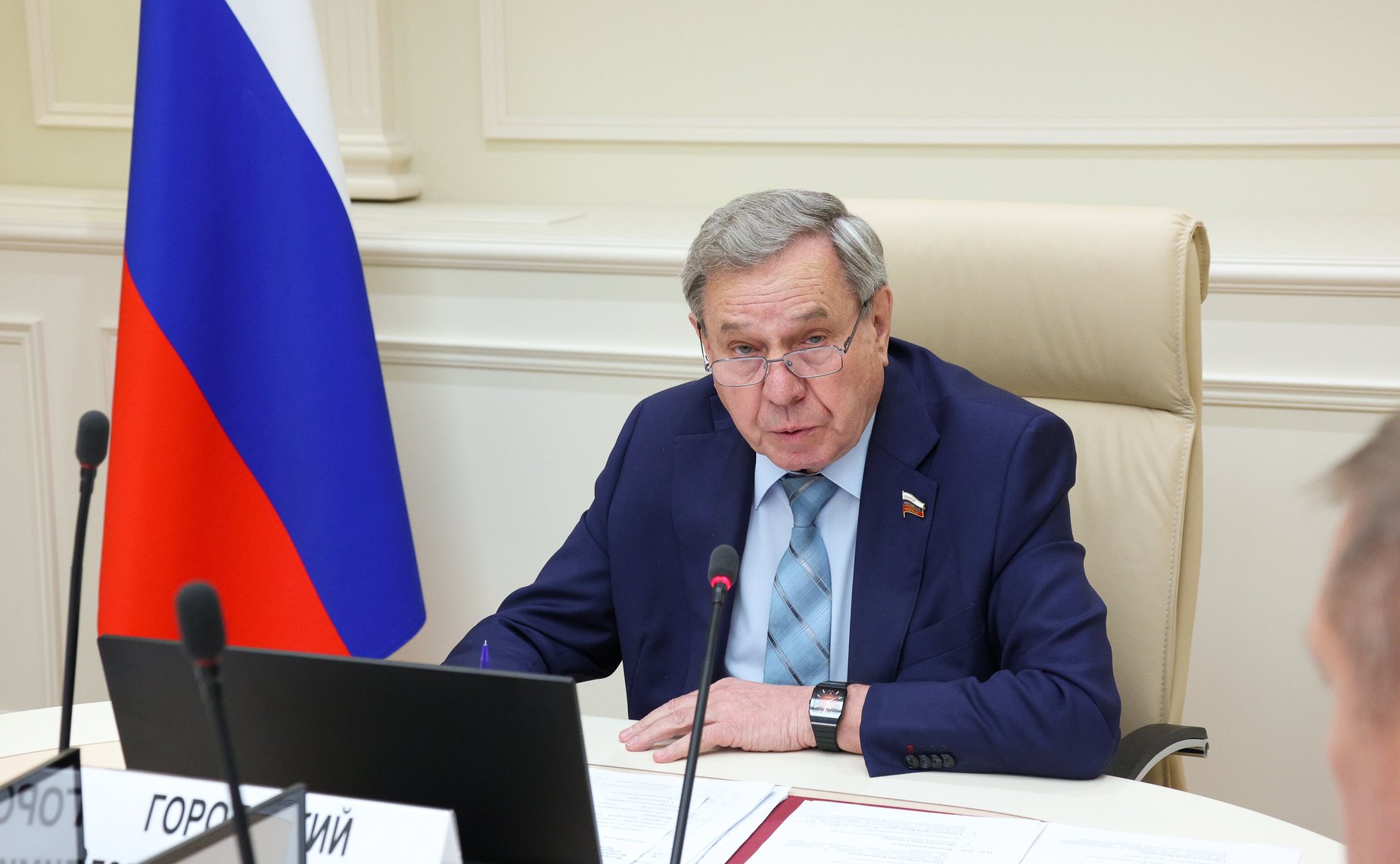 Владимир Городецкий