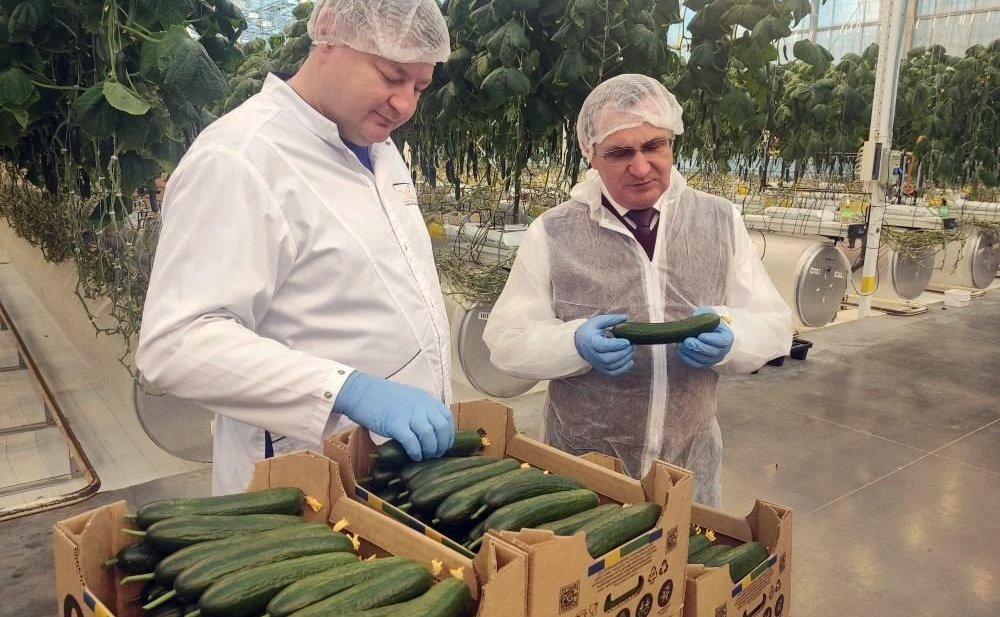 Николай Федоров посетил тепличный комплекс «Новочебоксарский»