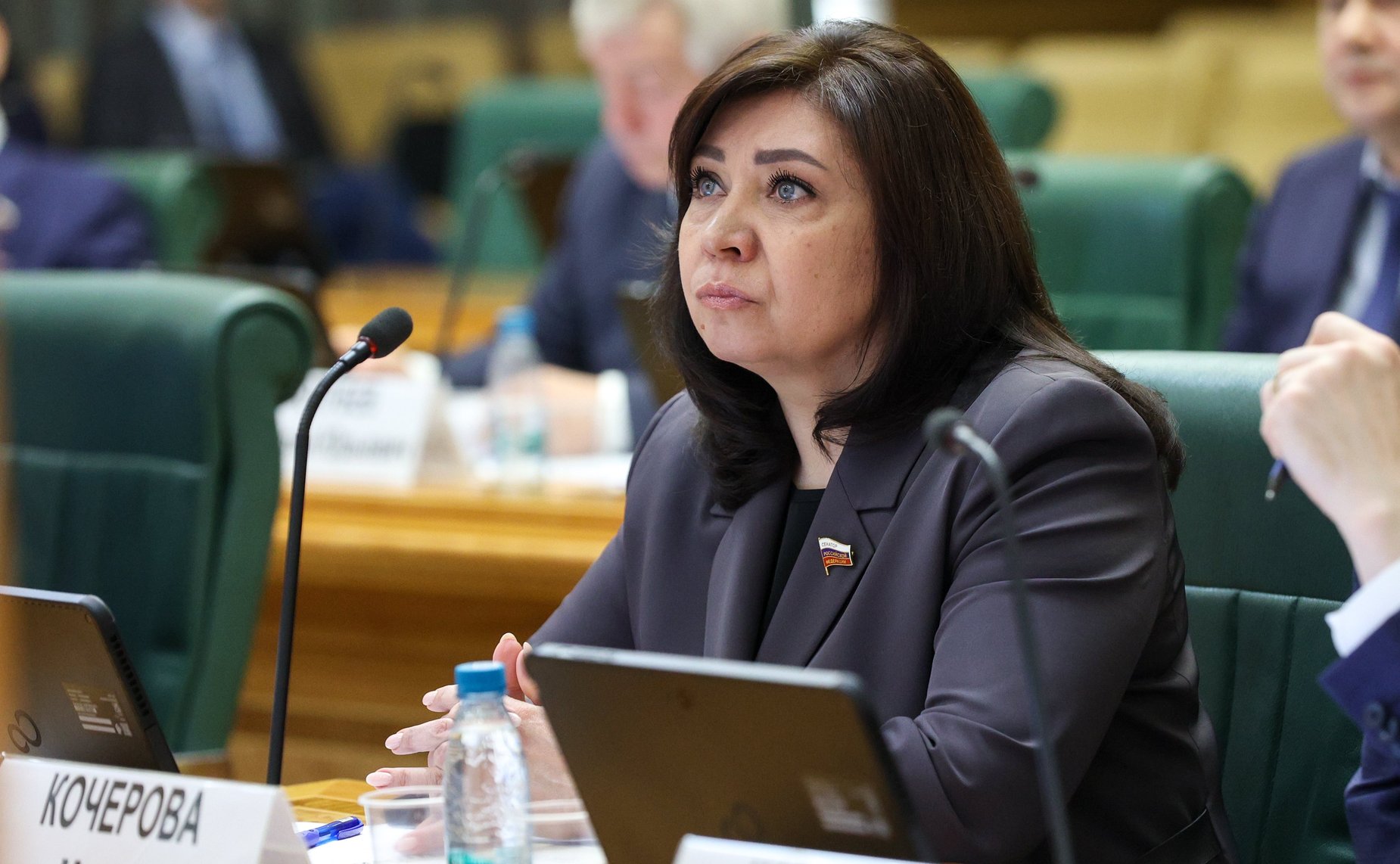 Анна Кочерова