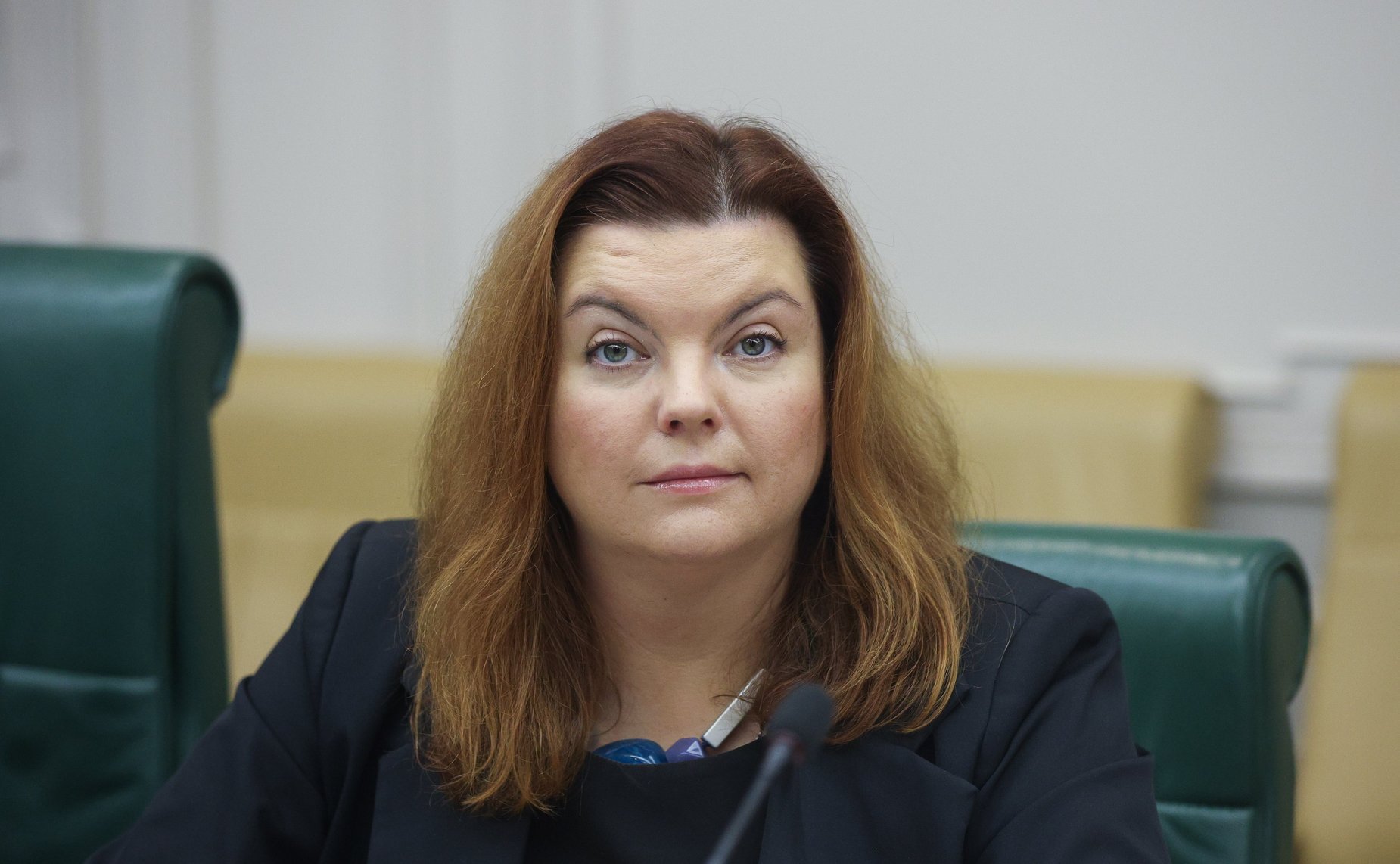 Парламентские слушания Комитета СФ по экономической политике «Комплексное развитие потребительского рынка. Органический рост всех торговых форматов»