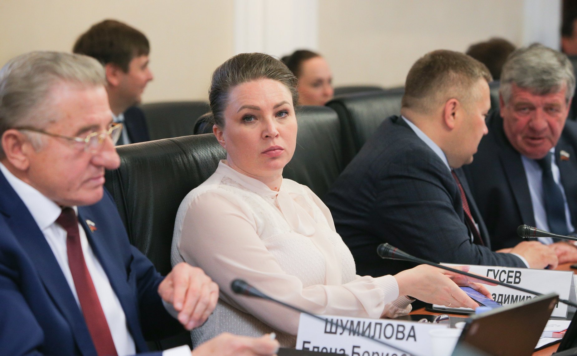 Елена Шумилова