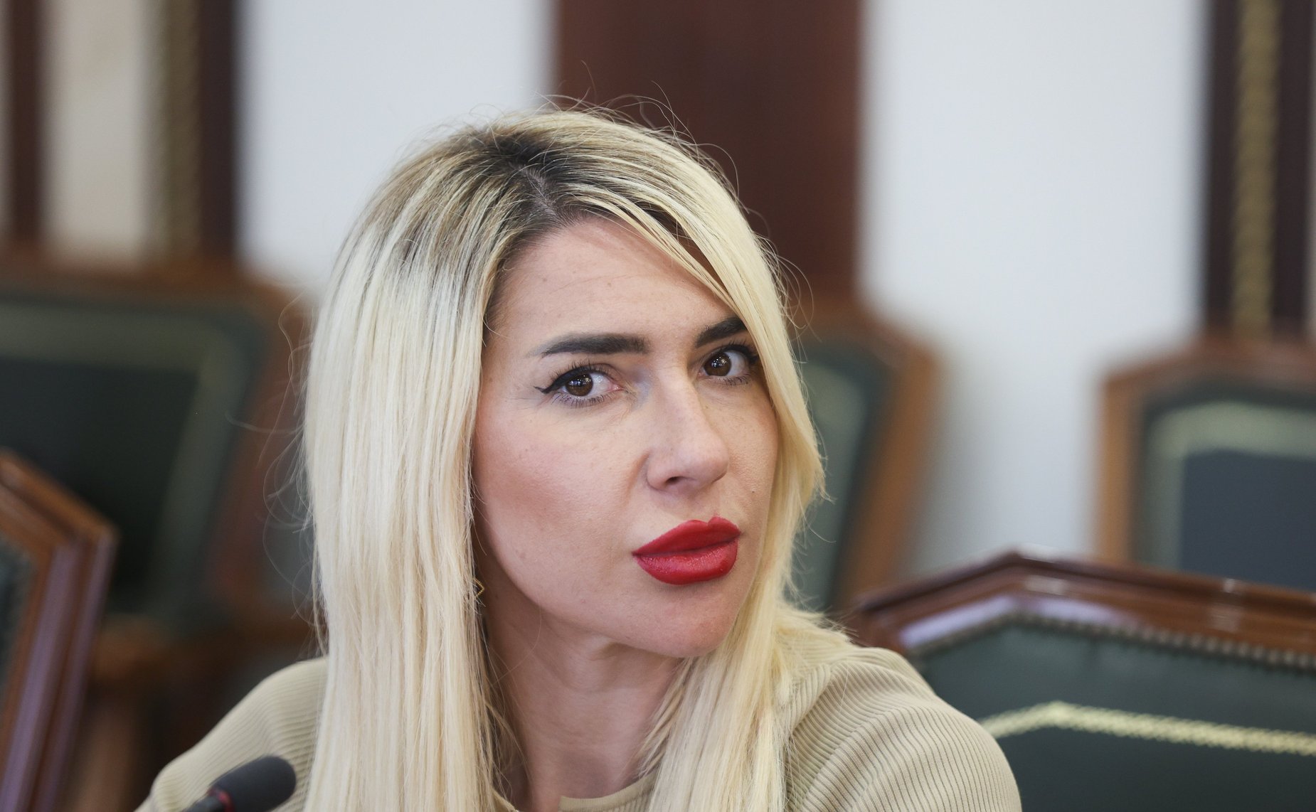 Встреча сенаторов с делегацией Народной скупщины Республики Сербии, членами фракции партии «Единая Сербия» и группы по сотрудничеству Народной скупщиной Республики Сербии с Советом Федерации