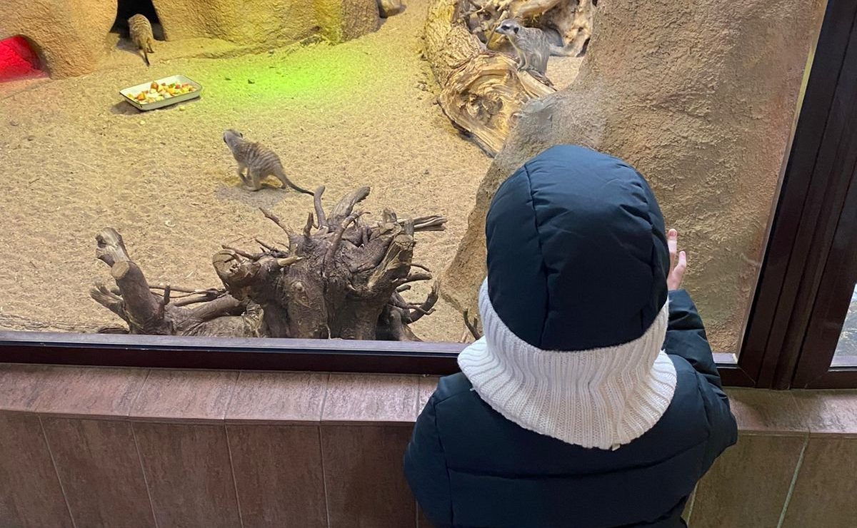 Сергей Березкин принял участие во Всероссийской акции «Елка желаний»