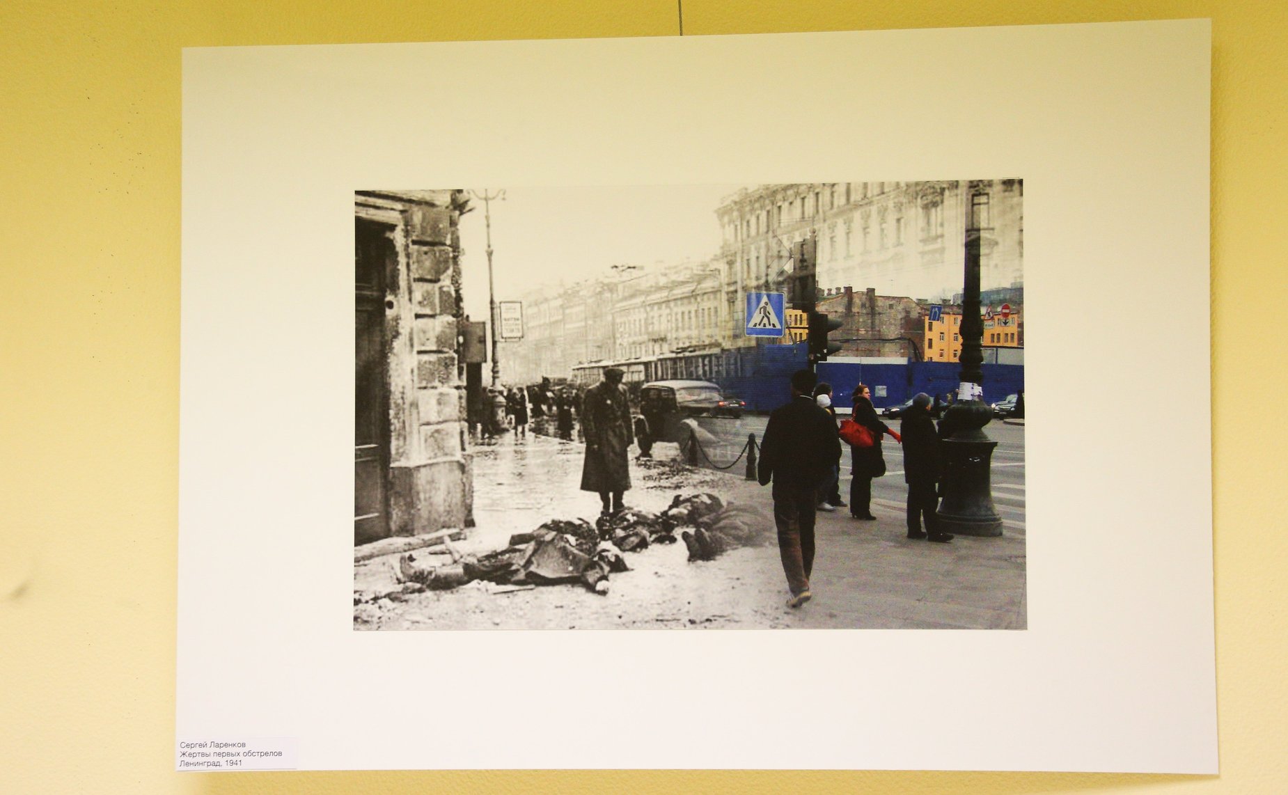 В Совете Федерации открылась выставка в рамках Молодежного историко-культурного фестиваля «Истории достоинства. От Владимира — до Владимира»