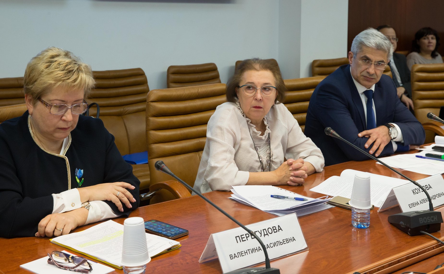 Совещание Комитета СФ по науке, образованию и культуре