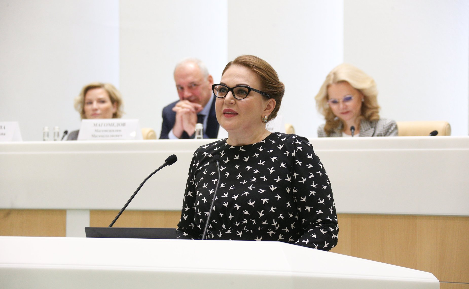 Встреча Председателя Совета Федерации Валентины Матвиенко с руководителями центров народного творчества, домов и дворцов культуры, деятелями культуры и искусства