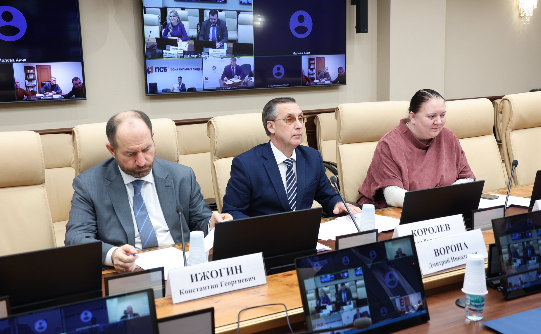 Совещание Комитета СФ по экономической политике «Вопросы восстановления и развития топливно-энергетического комплекса на территориях ДНР, ЛНР, Запорожской области и Херсонской области»