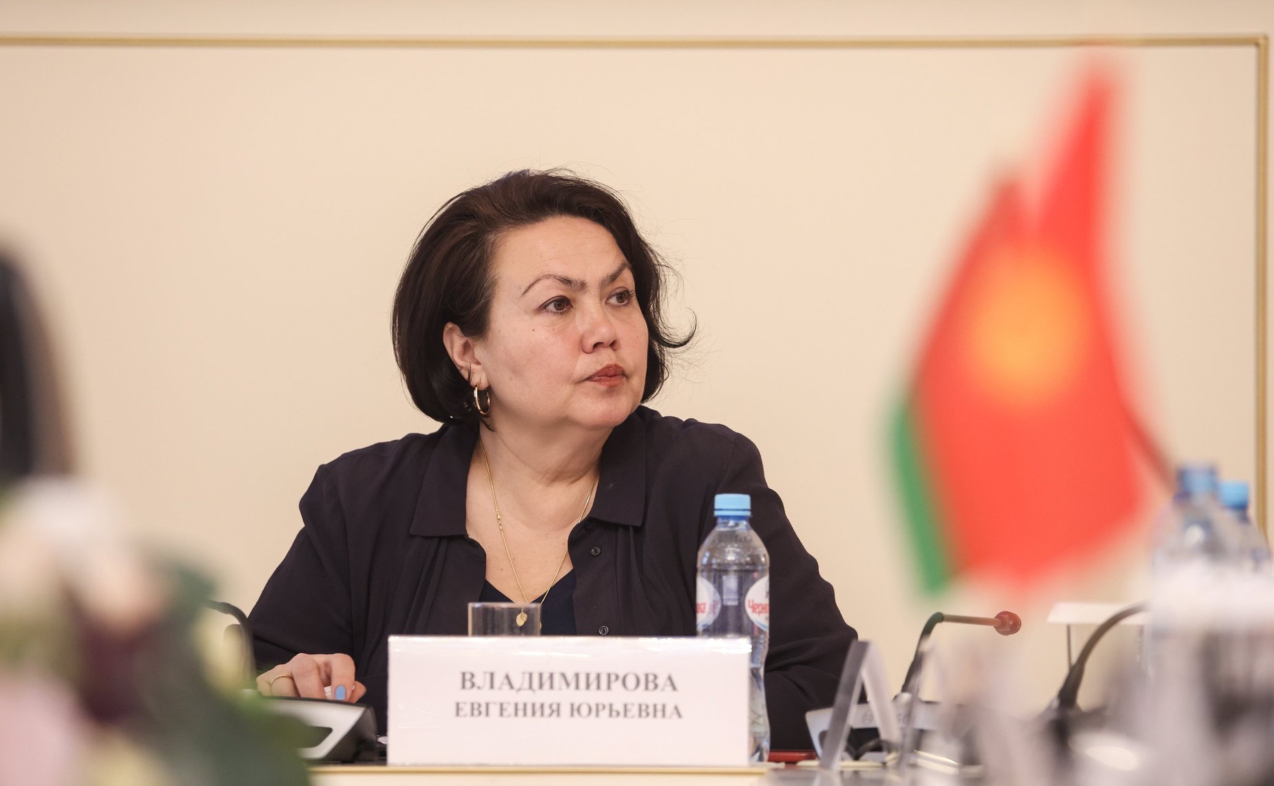 Заседание постоянной комиссии МПА СНГ по социальной политике и правам человека