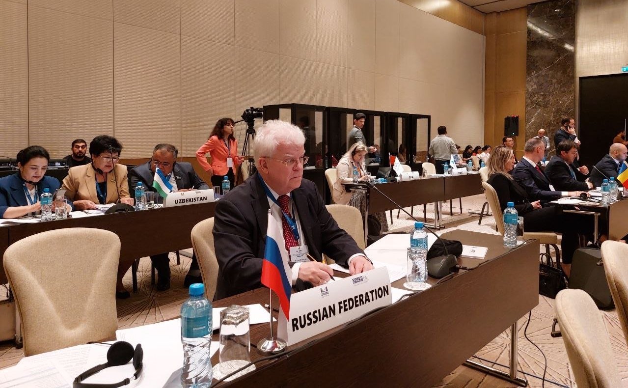 Владимир Чижов принял участие в работе конференции, организованной Милли Меджлисом Азербайджана и Парламентской ассамблеей ОБСЕ в г. Баку