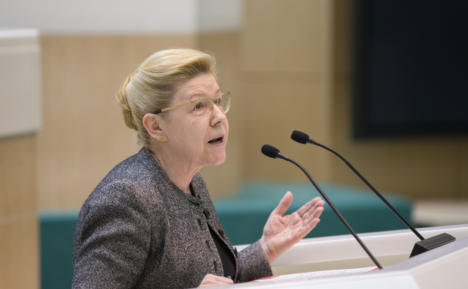 Е. Мизулина на 386-м заседании Совета Федерации