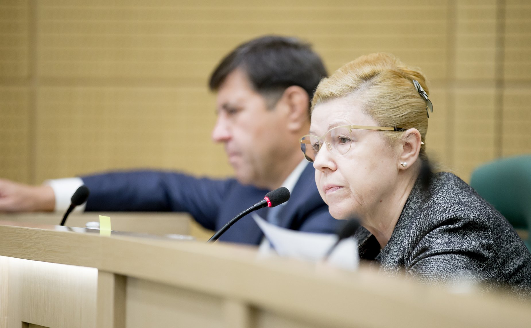 381-зеседание Совета Федерации Мизулина