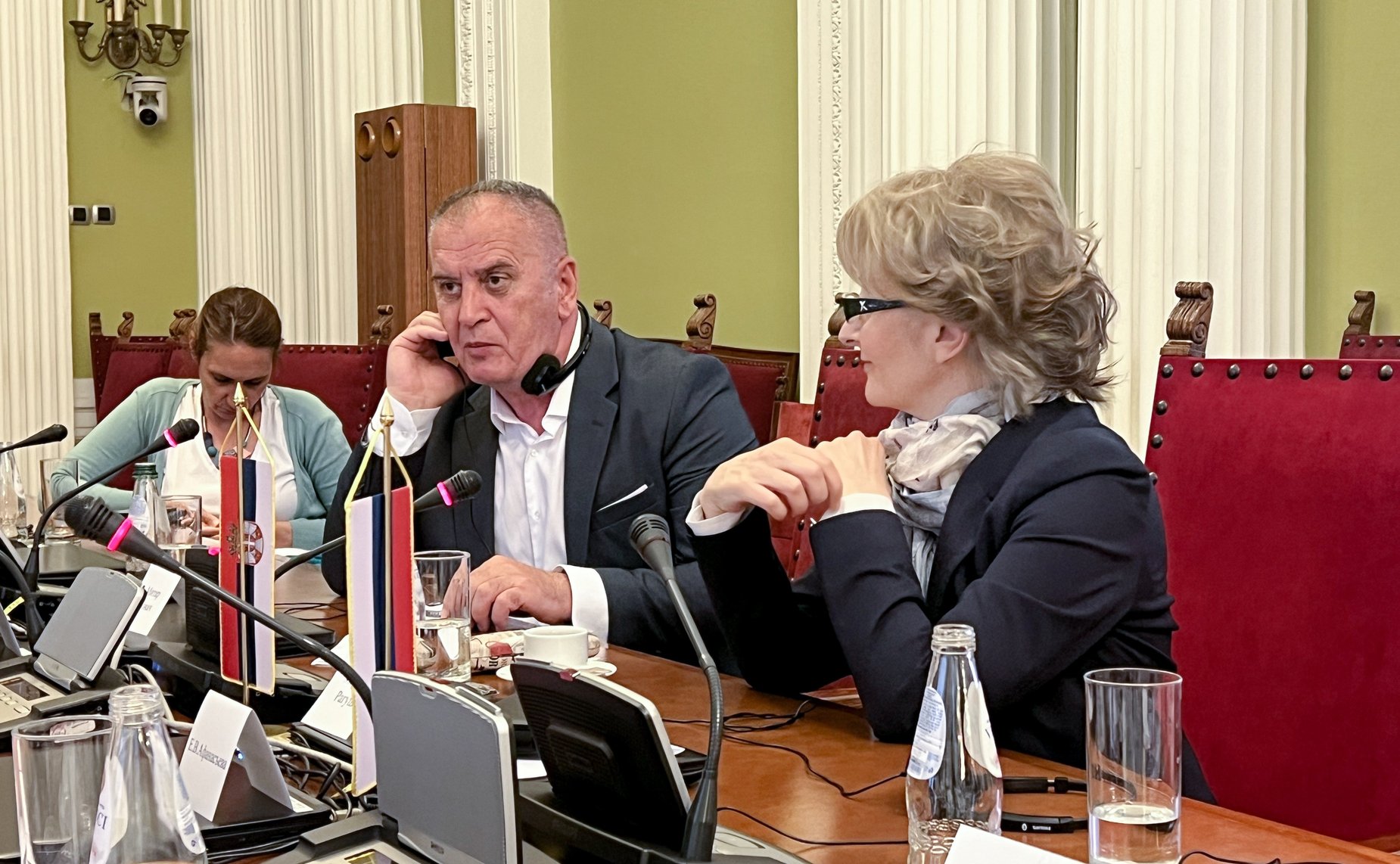 Встреча сенаторов с заместителем Председателя Народной скупщины Республики Сербии, председателем Комитета Народной скупщины Республики Сербии по внешней политике Мариной Рагуш