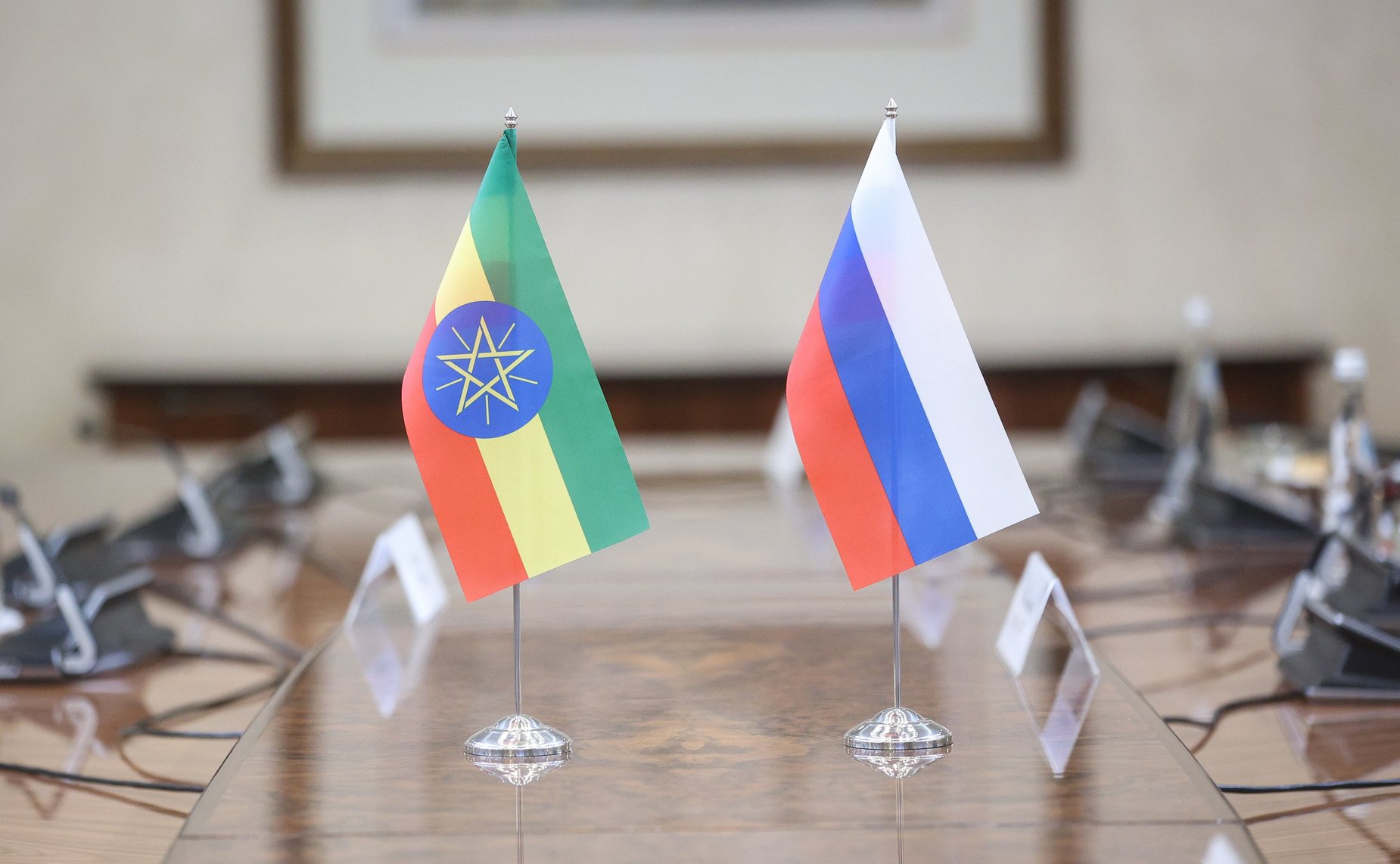 Валентина Матвиенко провела встречу с Председателем Совета Федерации Федеративной Демократической Республики Эфиопии Агеньеху Тешагером