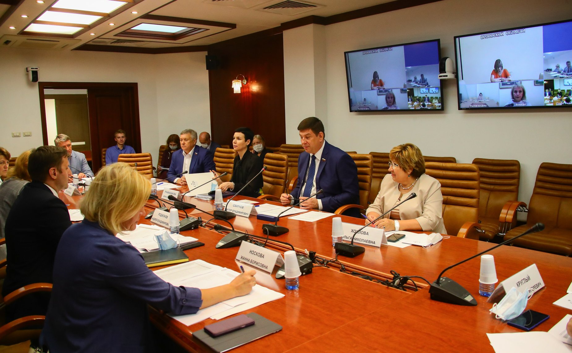 Совещание Комитета СФ по науке, образованию и культуре