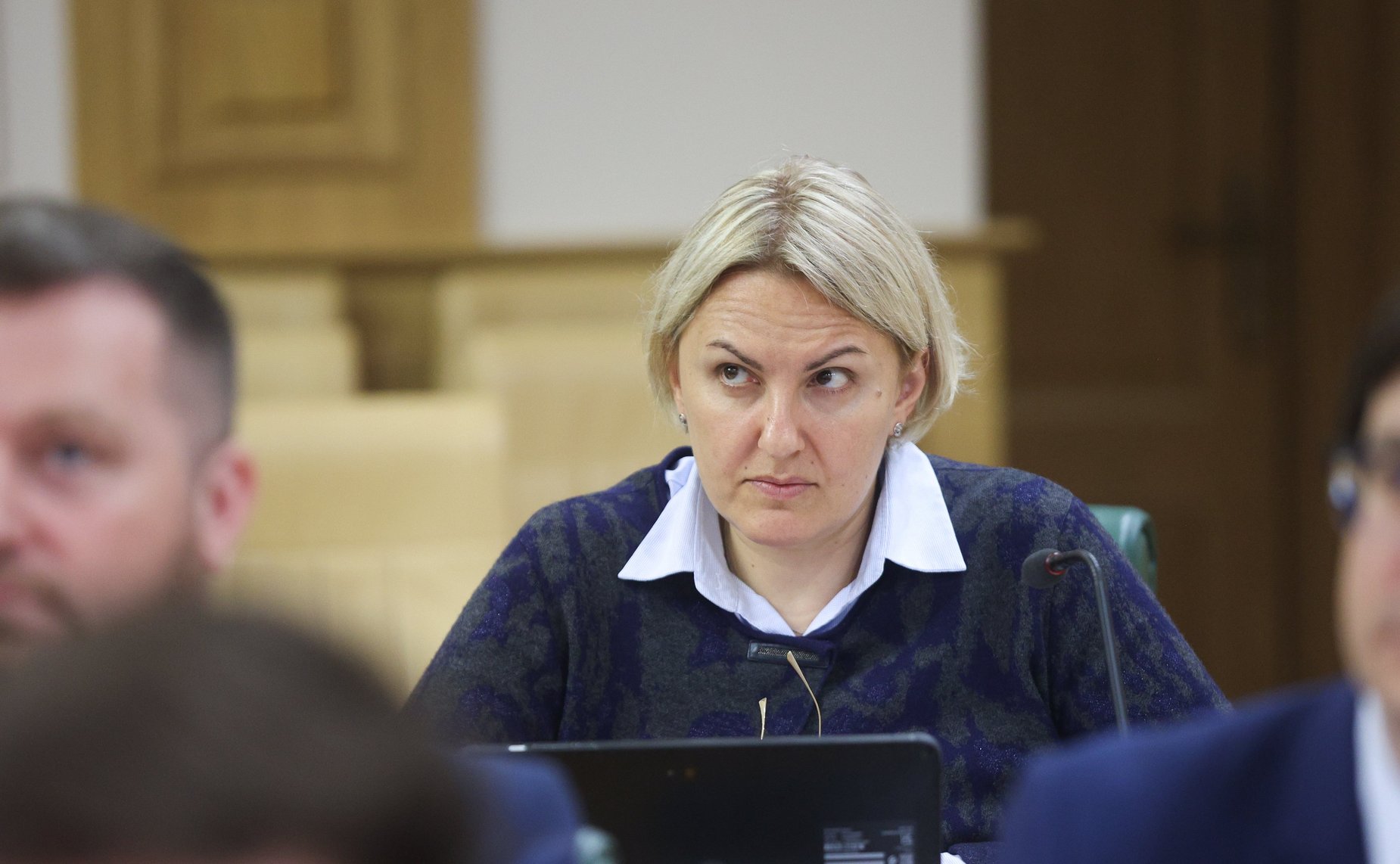 Заседание экспертно-консультативного совета при Комитете Совета Федерации по конституционному законодательству и государственному строительству